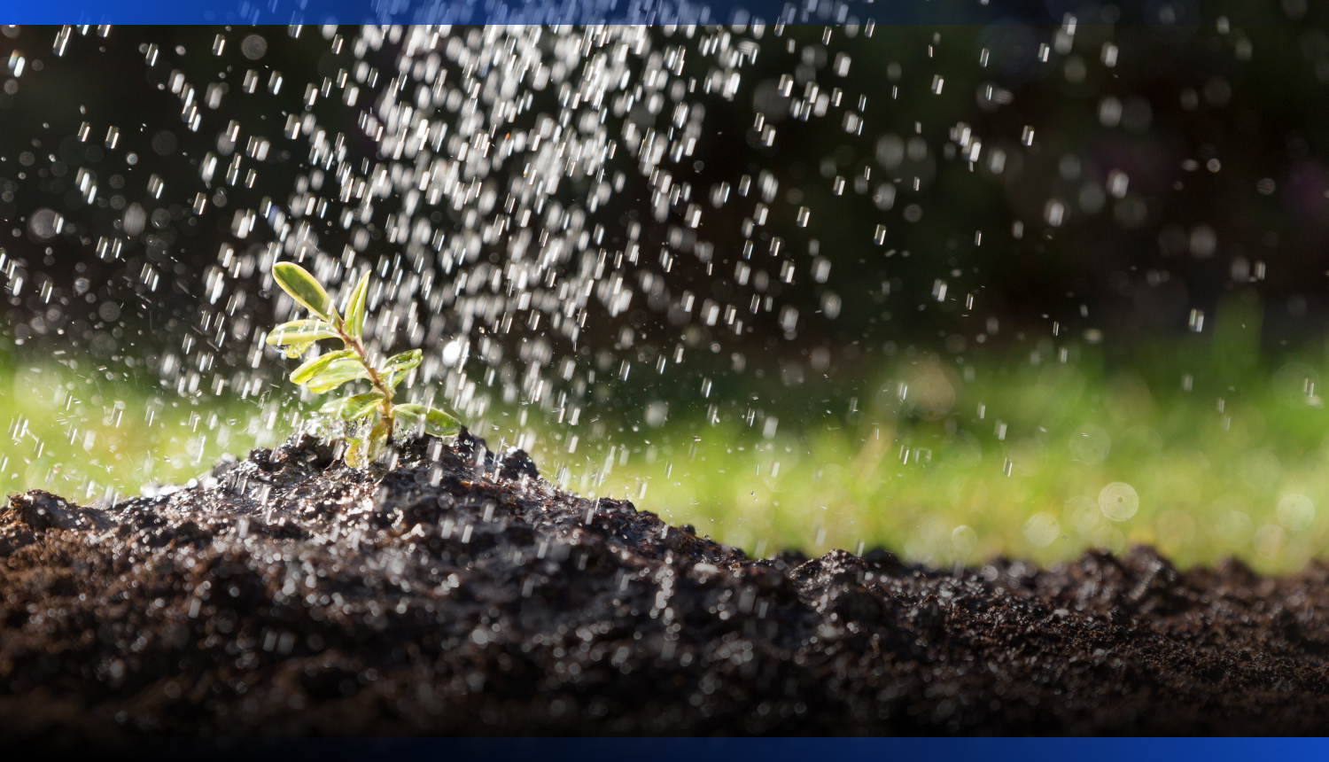 Image for В Казахстане тестируют электронные договоры на подачу поливной воды